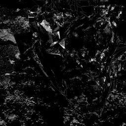 Repairs Gatefold Detail